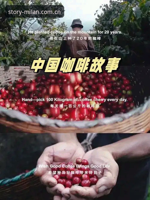3种实测方法解决每双都带故事中国官网入口下载不了怎么办的困境